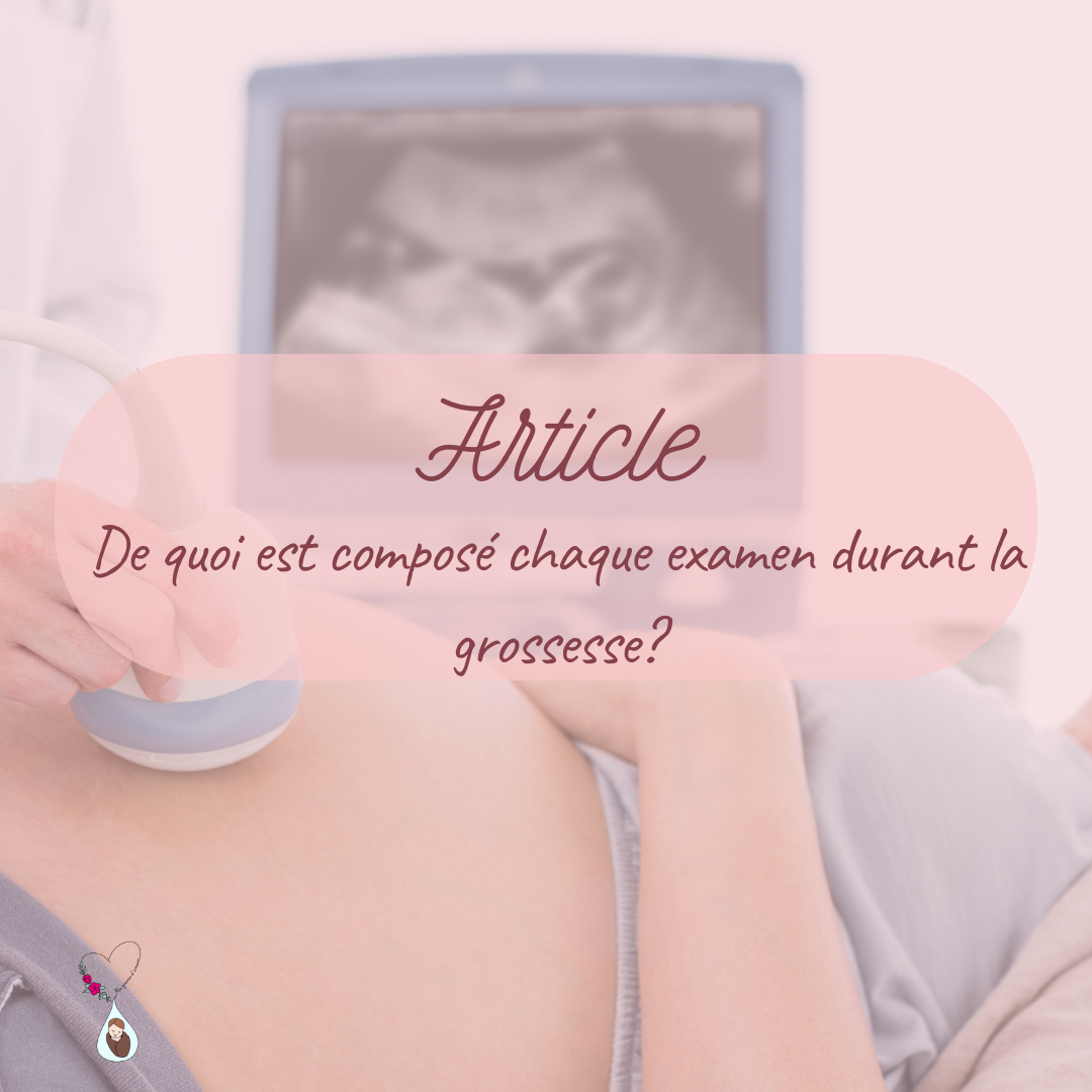 De quoi est composé chaque examen durant la grossesse?